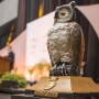 FFA Owl