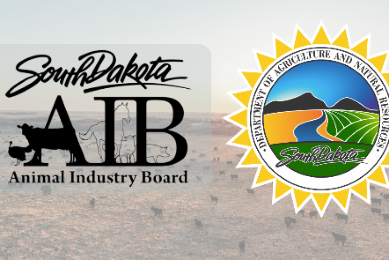 South Dakota Board.png