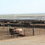 Livestock Industry a topic on Capitol Hill.