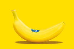 E642CB01-5ED4-4B20-AF36AD2EEB2D6B6E.png