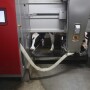 Overall, these results indicate that personality traits of dairy cows are associated with adaptation and performance in an AMS, and that personality traits are consistent across the transition period. 