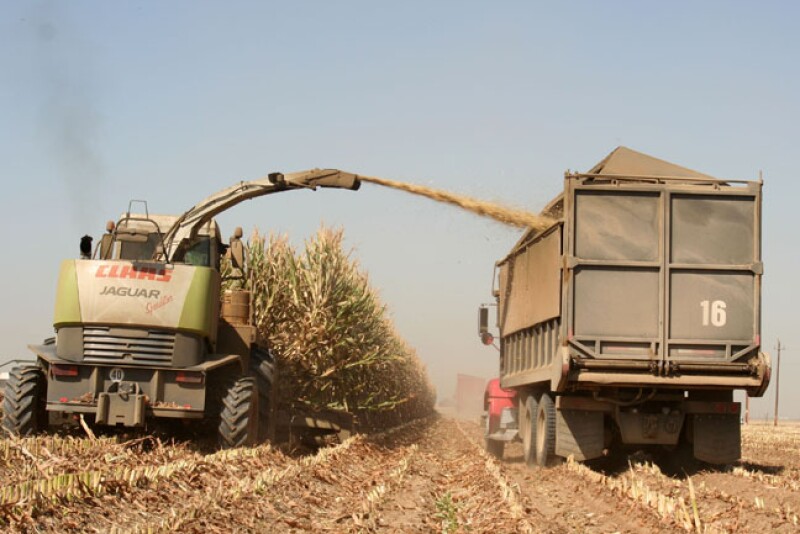 corn_harvest_9-08_044_-_Cropped