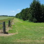 Buffer strips in strategic locations help capturing runoff.