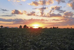 Like the final captain, the duty of closure rightly falls to the last farmer.