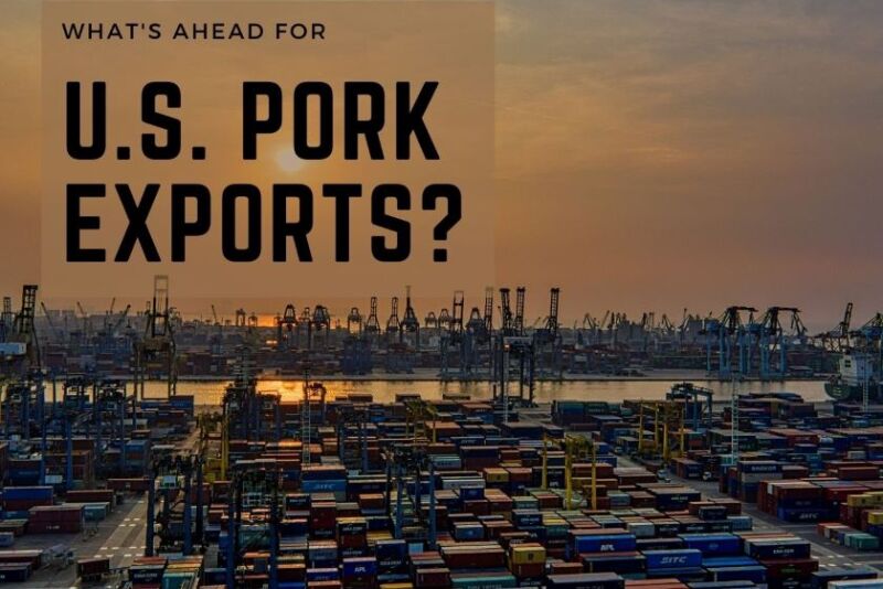Pork Exports