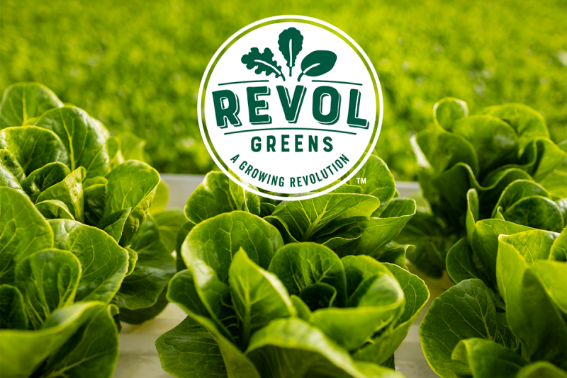 Revol Greens