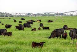 Zeman Ranch