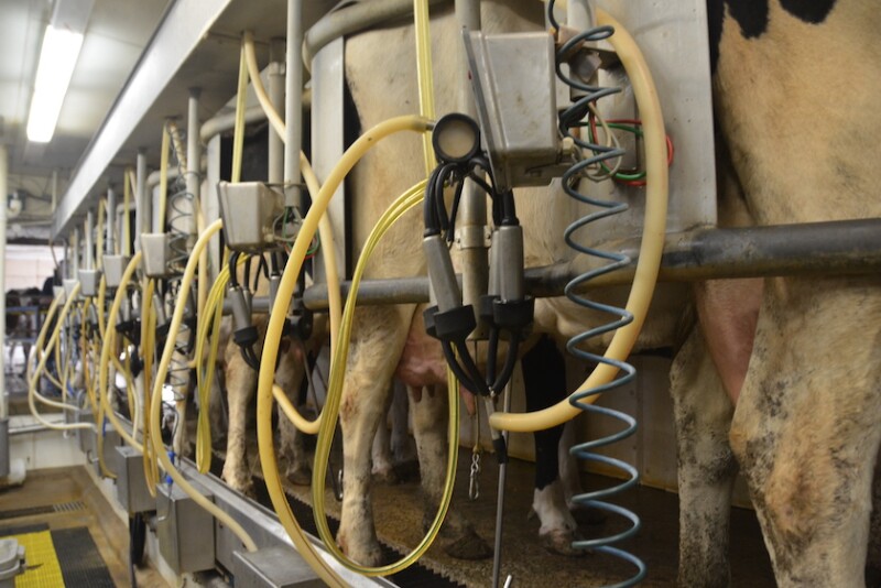 Milk Parlor