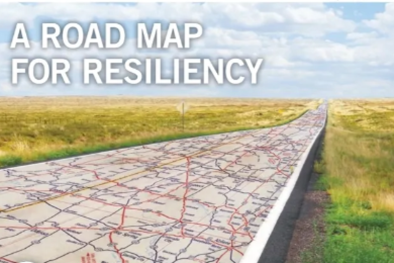 road map for resilience