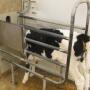 Building a new autofeeder barn, or retrofitting an existing structure for autofeeders and/or group housing, is a tremendous investment. Calf raisers “in the trenches” offer their advice on how to do it right, and what they wish they had done differently.