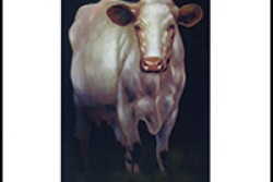Through a 2017 partnership with the Texas A&M University Medical Services Library, the Bovine Practitioner issues were scanned and digitized to provide high-quality searchable scans.