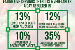 five-a-day_graphic_web.png