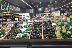 avocado display in supermarket