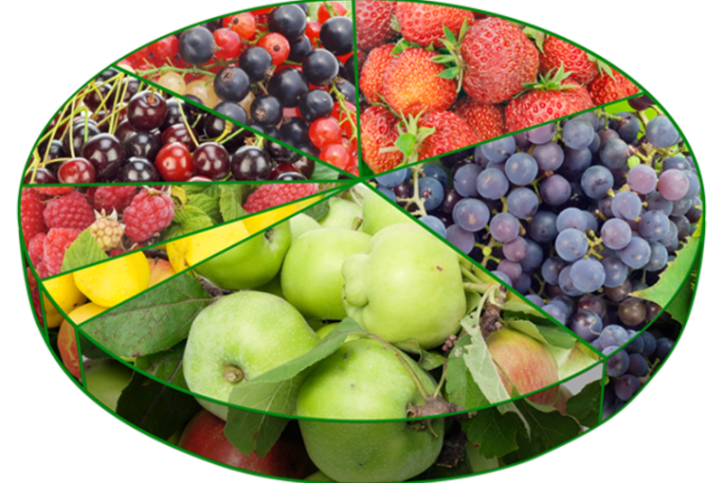 produce pie chart