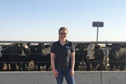 Sarah Capik, D.V.M., Ph.D., will lead a multi-state research study to determine if cattle management impacts BRD risk. 