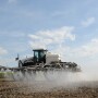 Paraquat is a non-selective weed control commonly used for burndown applications, and it’s effective on resistant weed species such as ragweed and Palmer Amaranth.
