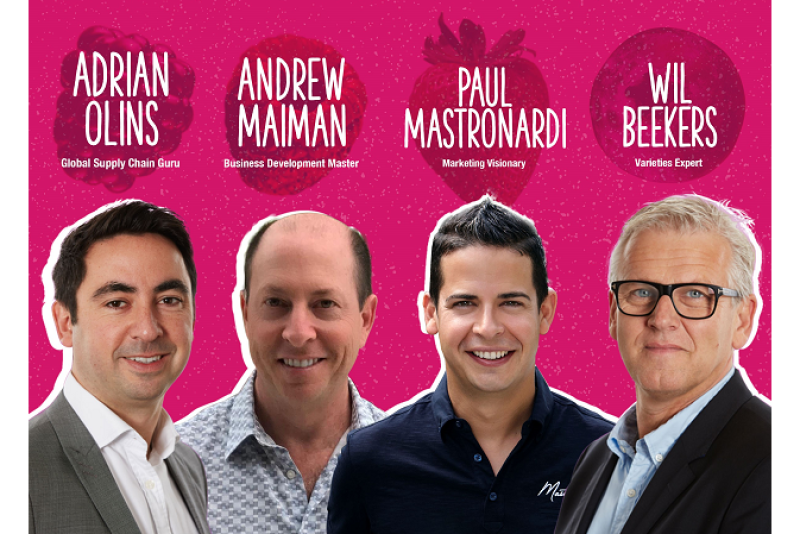 The Berry World America executive team is Adrian Olins (from left), global supply chain, Andrew Maiman, business development, Paul Mastronardi, marketing, and Wil Beekers, varieties.