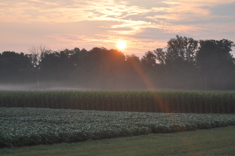 Bayer is continuing its pilot program with outcome based pricing in 2020, with a main focus on seed as well as fungicides. 