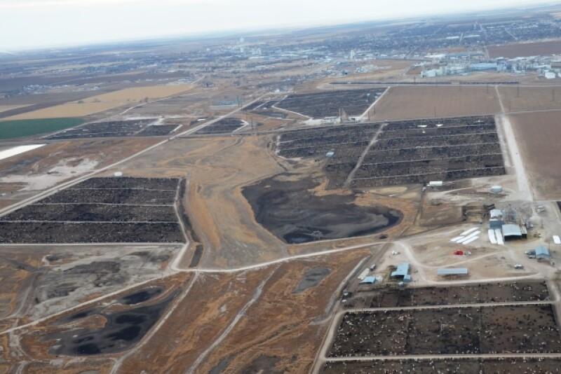 BT_Cattle_Feedlots