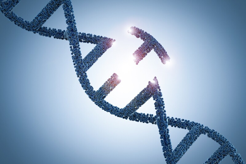 Gene editing accelerates genetic improvements that could be realized over long periods of time through breeding. 