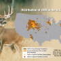 CWD has infected deer and elk populations in 181 counties across 22 states.