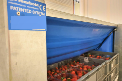 FF Cooling Solutions' cooling cells can benefit berry growers, including blueberries, according to the company.