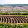 Solar panels at Pocono Raceway