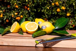 sunkist lemons