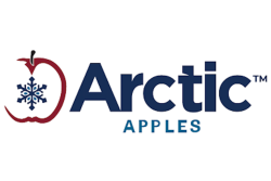 arctic logo