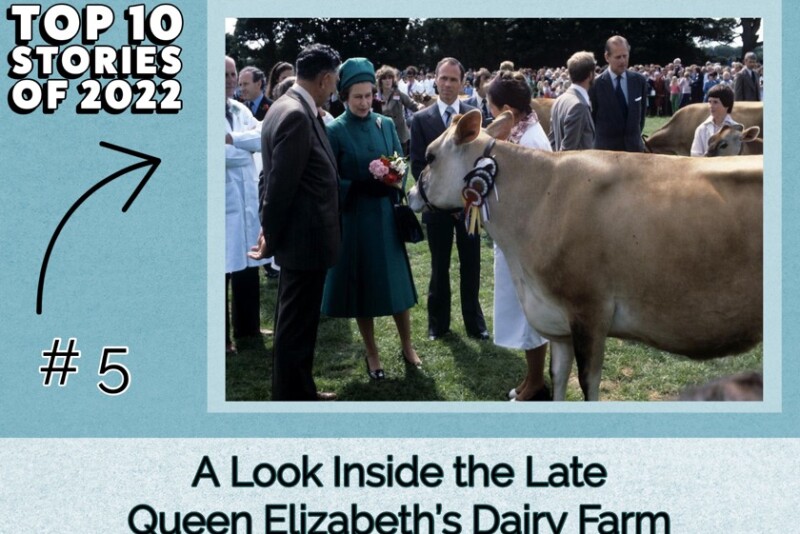 Top Stories