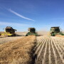 Harvest29