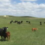 AL Ranch, NE