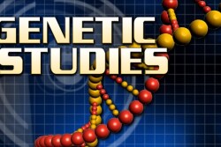 What does the future hold for animal agriculture as researchers delve deeper into the genetic code of livestock?