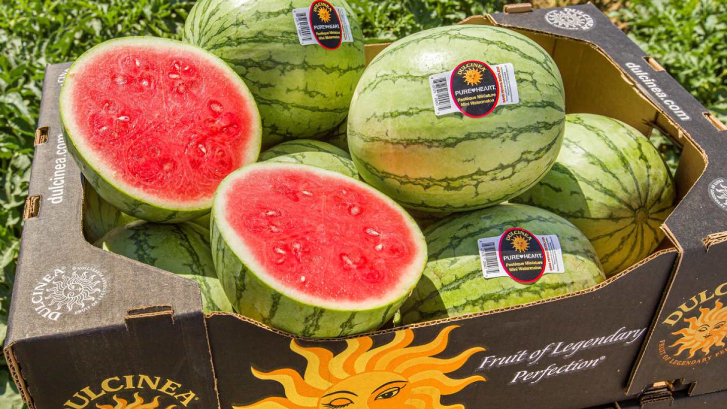 Calzado Attipas Modelo Watermelon - Talla 20, Tejido AQUA-X | Secado Rápido Y Protección UV