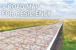 road map for resilience