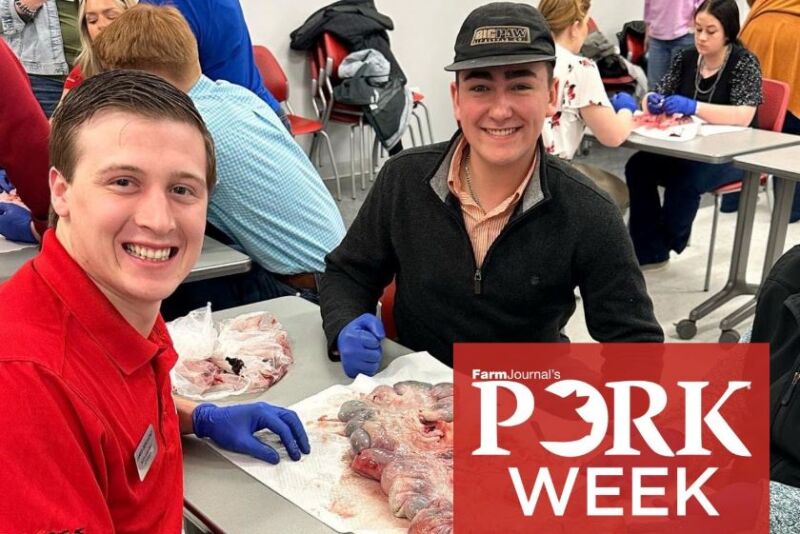 PORK Week Youth in Swine Industry