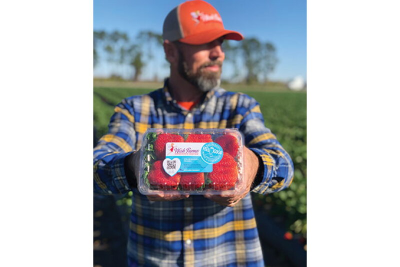 Clamshell packaging such as this is still the most common for many produce items. To help minimize waste and lessen environmental impact, Wish Farms plans to test compostable fiber punnets using top-seal film, says Nick Wishnatzki, marketing and projects manager.