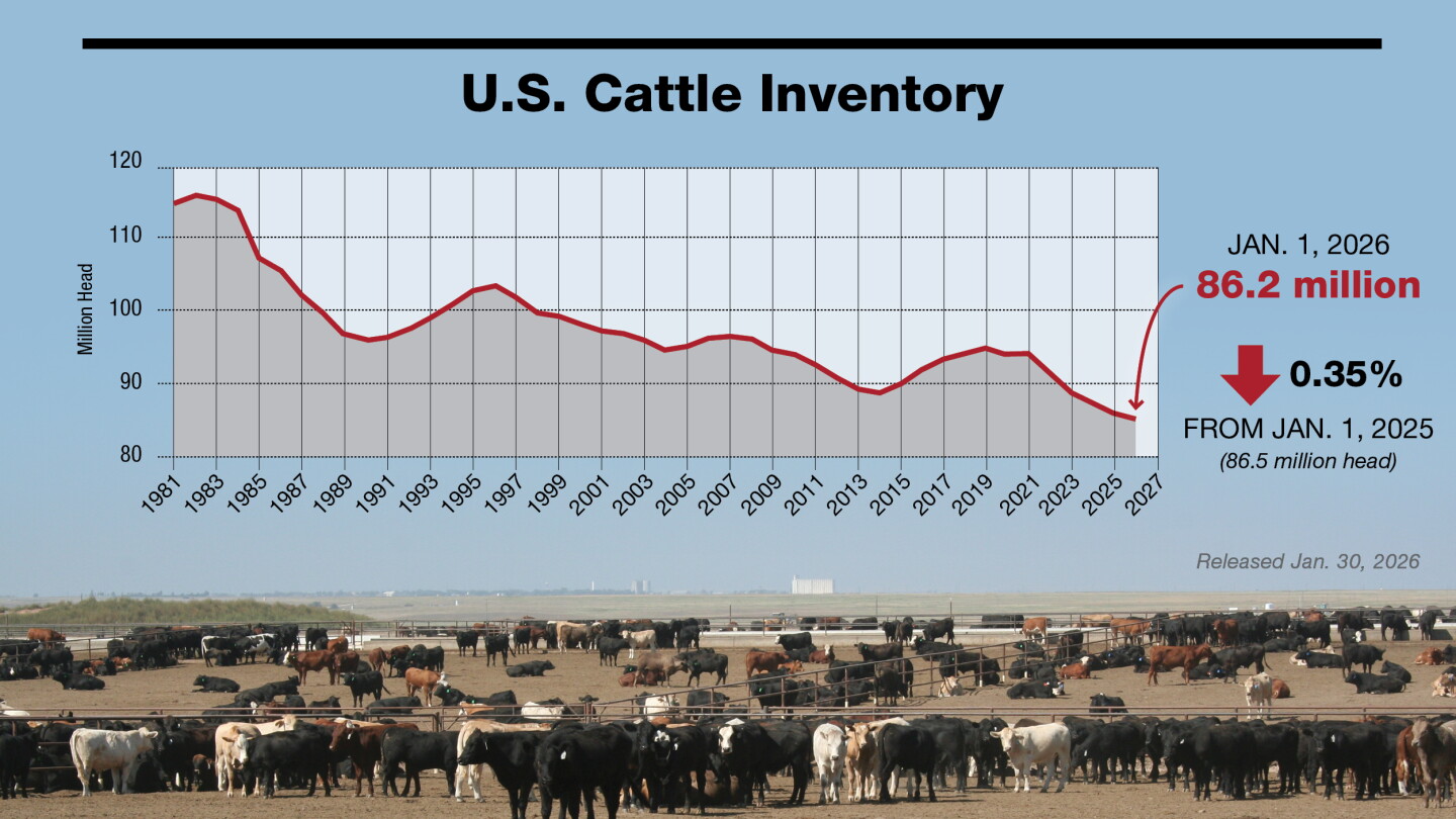 Example Cattle Inventory U.S. Cattle Inventory Hits 75-Year Low at 86.2 Million Head - AgWeb