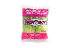 Andy Boy Baby Gem Lettuce 