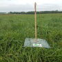 Falling Plate Meter