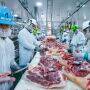 Workers at a pork processing facility