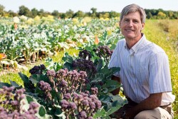 Thomas Bjorkman, professor of horticulture at Cornell University poses with an heirloom style broccoli he is researching to understand available broccoli genes for breeding purposes.