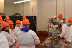 Meat Processing - Meat Mastery Program - OSU