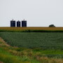 iowa farmland crop tour 2016