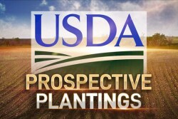 Uncertainty on trade issues and the subsequent price movements associated with speculation on the topic added a degree of difficulty to acreage decisions this year.