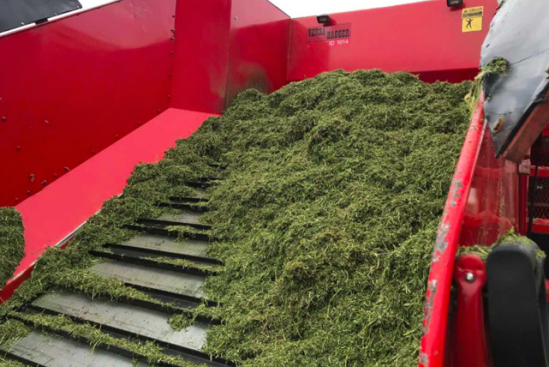 Producers Worry About Lack Of Feed and Bedding Come Fall

