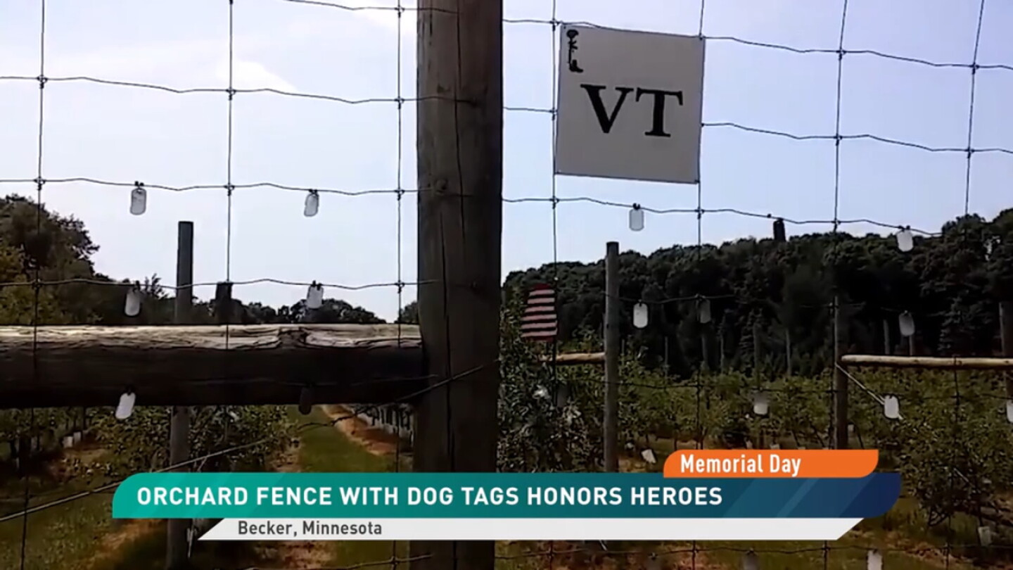 7,000 Dog Tags Turn Minnesota Apple Orchard into Powerful and Sacred ...