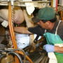 milking worker Dairy