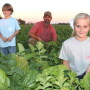 Mikey Taylor kneels in deep cover planted after 100-plus bu. dicamba-tolerant soybeans, along with son Wells, 6, and daughter Merrie Leigh, 10.