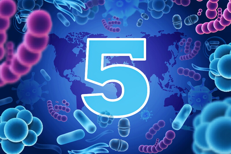 5-Swine-Diseases-You-Need-to-Watch-Right-Now.jpg
